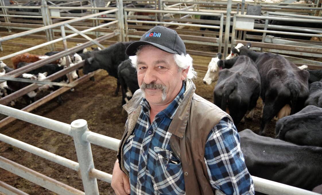 Good buy: Tony Guarnaccia, Lakes Entrance, bought these Black Baldy cows with calves-at-foot at Bairnsdale for $1200. Photo: Jeanette Severs