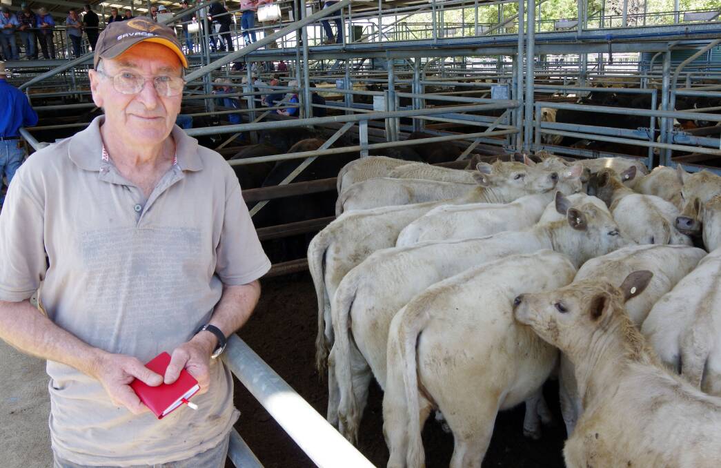 Dale Connally, Kalimna West, sold these 12mo Charolais heifers, Paringa bloodline, 344kg, $1330, at Bairnsdale on Friday. 
