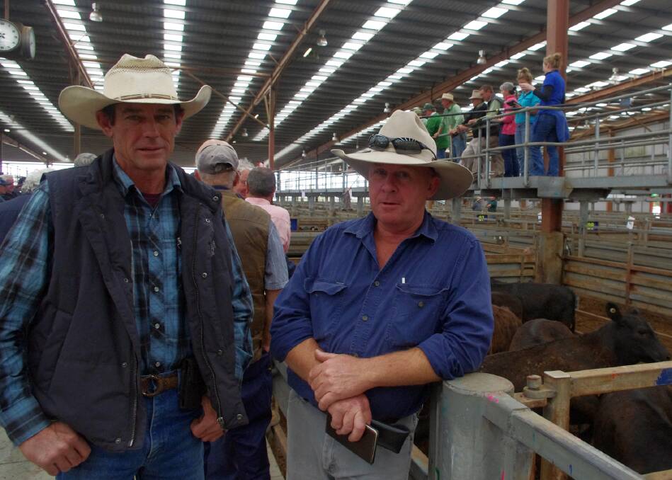 Camoola managers Jack Dowell and Greg MacKay sell 800 weaners annually and the decision of when to sell is based on the season and market.