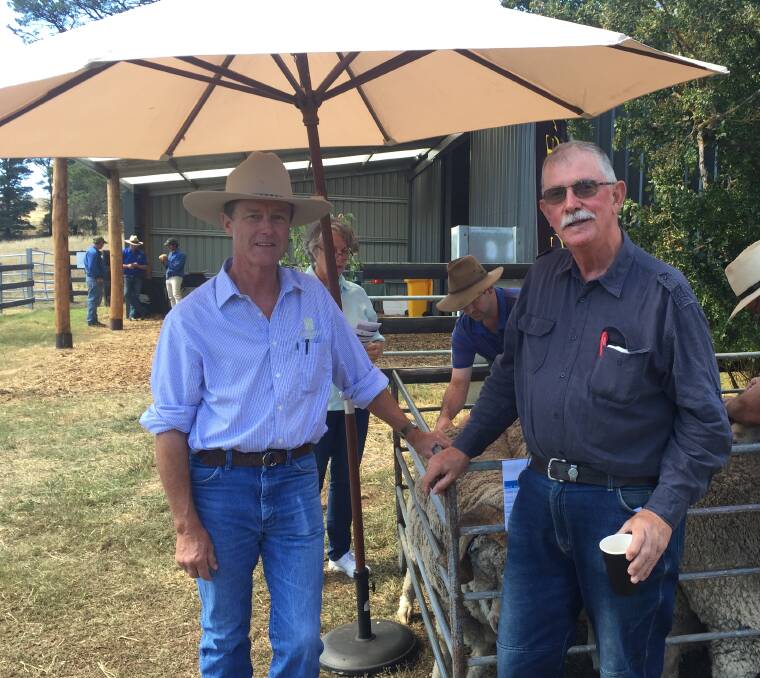 Peter Hare, Cohuna (right) inspecting rams before the stud's Best of the Best sale late last month.