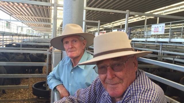 Bill Trethowan and John Bidgood were at Thursday's Wodonga weaner sale discussing how it used to be.