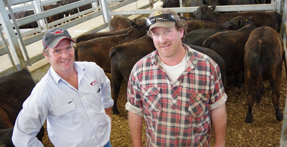 SEJ Livestock agent and auctioneer, Jimmy Kyle, with David Harris, Tarwin Lower, who bought three pens of cows and calves including this pen for $2020.