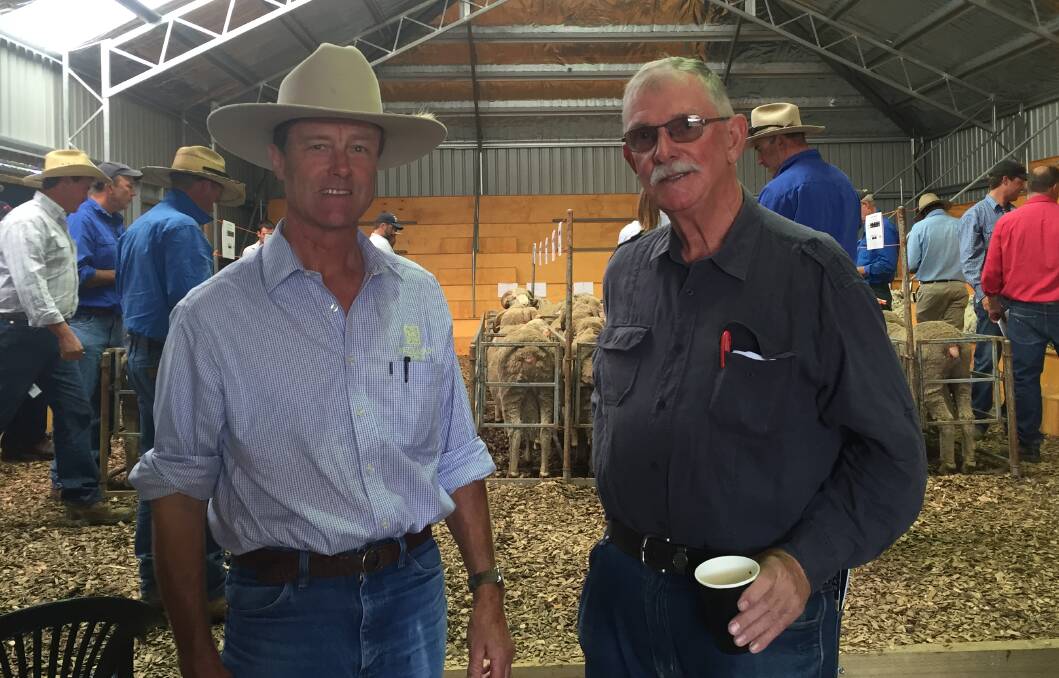 Hazeldean principal Jim Litchfield, left, and Cohuna sheep breeder Peter Hare before the stud's Best of the Best sale late last month. Peter brought home three promising young rams.