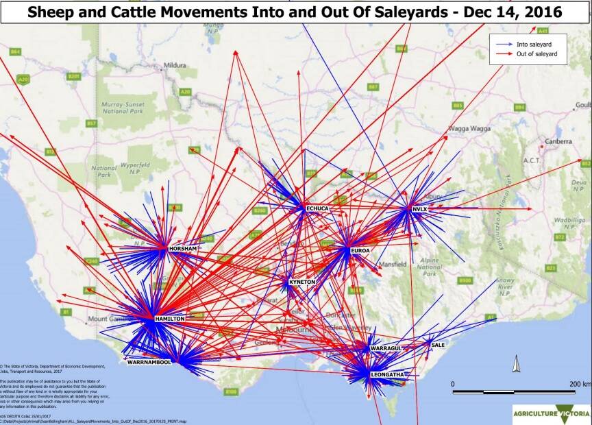 Tracking: Sheep and cattle movements into and out of saleyards as at Dec 14, 2016. Blue line - into saleyards, Red line - ot of saleyards. Source: Agriculture Victoria. 
