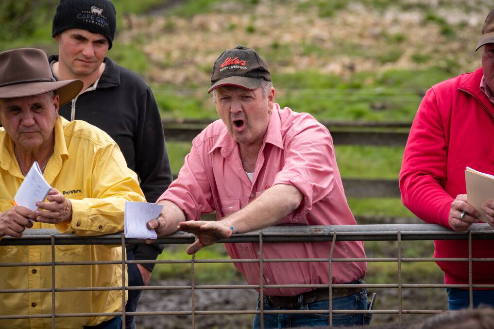 STOCK STANDARD: Auctioneer Crighton Horton worked the large crowd at the first cattle auction at the Smithton saleyards yesterday morning. Picture: Simon Sturzaker