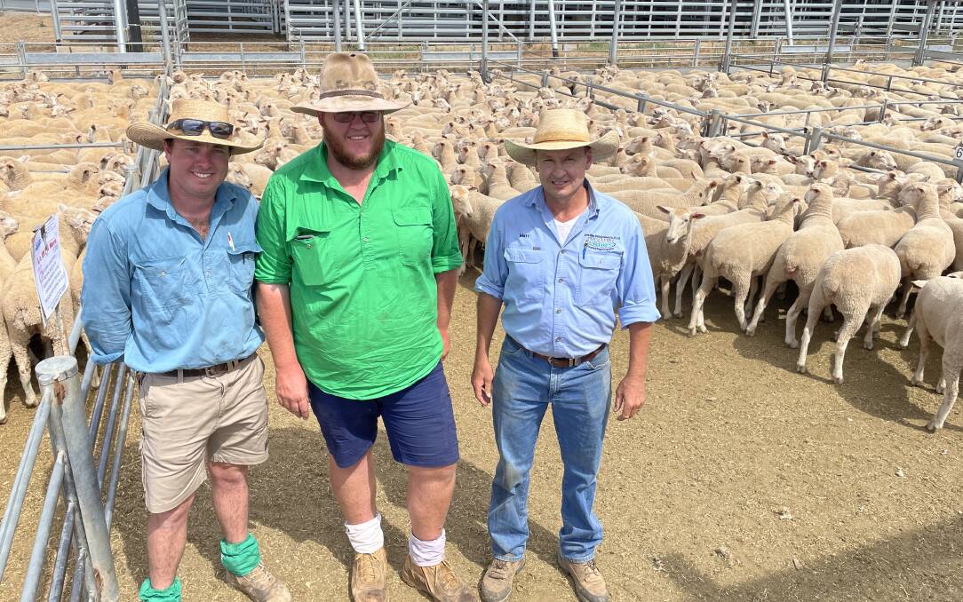 Liam Norrie and Joel Wallis, Girral, NSW, with KMWL agent Matt Lennon, Forbes, NSW, sold ewe lambs to $350 at Forbes, NSW. Picture by Karen Bailey.