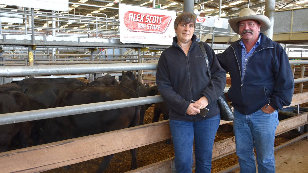 Sharon Kelly, 'J&S Kelly', Korrumburra, with agent Rob Ould, Alex Scott & Staff, sold this pen of 11 steers, 392kg, for $1120/head.