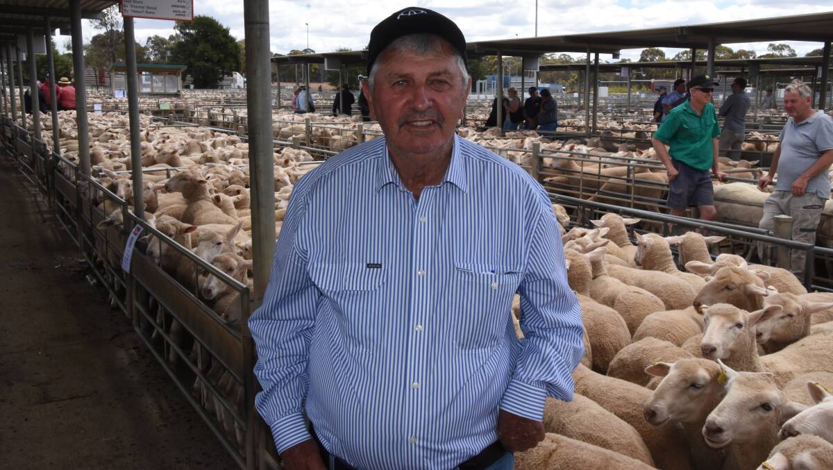 STRONG RESULT: Andy Hay, JH Hay and Sons, Kamarooka, sold 500 ewes and ewe lambs at Bendigo to a top price of $500.