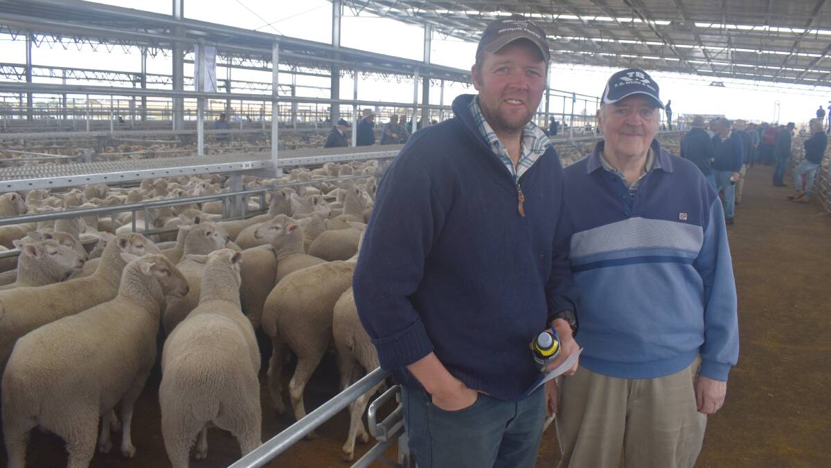 PLEASED: Duncan and Don Blair, Deebys Way, Bamganie, forwarded 400 ewes to Ballarat with this pen topping their consignment at $366. Photo by Alastair Dowie.
