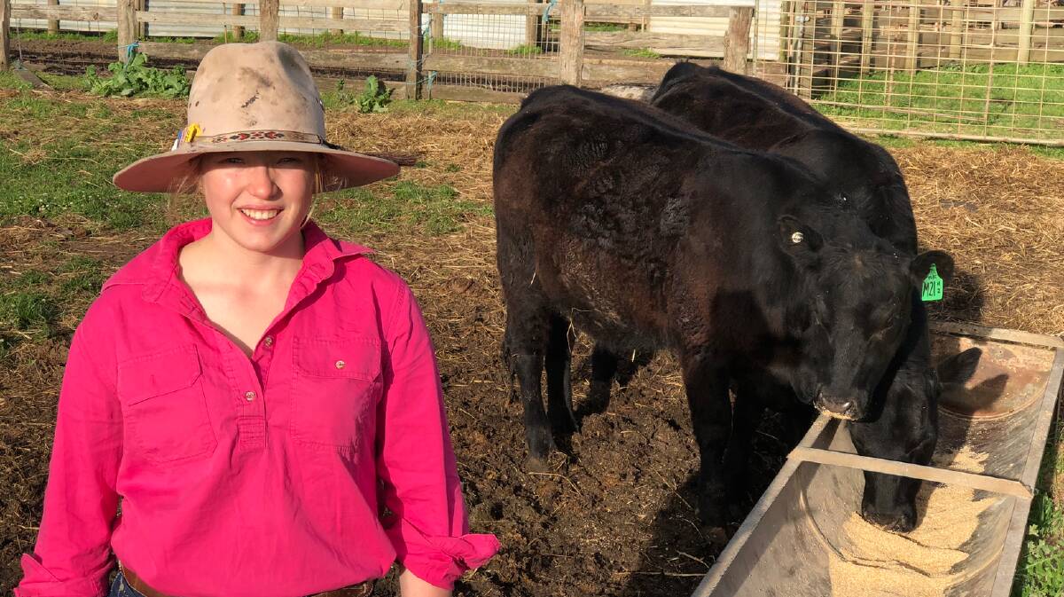 Port Fairy local Molly Hocking, 16, is fattening a steer and heifer to raise funds for a school in NSW affected by drought.