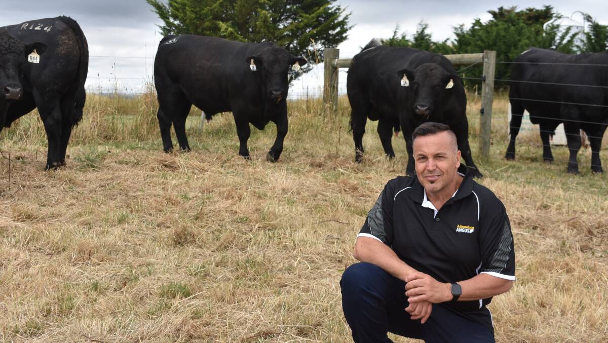 Adameluca Angus stud principal Sam Trovatello, Kyneton, is gearing up to show some new genetics at his Stock & Land Beef Week open day. 