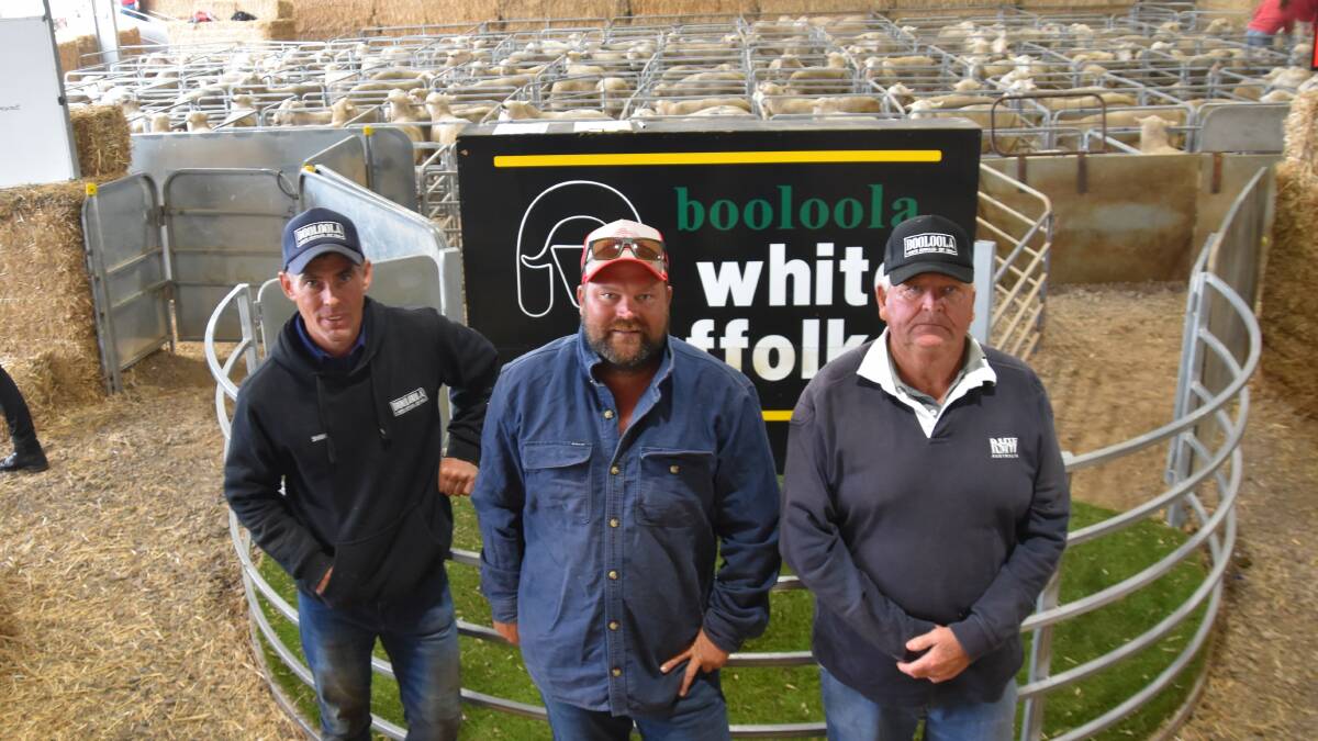Booloola White Suffolk stud principal Shane Baker, Baringhup West, with volume buyers Tom Wakefield, Top Hut Station, Pooncarie, NSW, who bought 27 rams and his father Ian who bought 28 for his neighboring property. Picture by Alastair Dowie