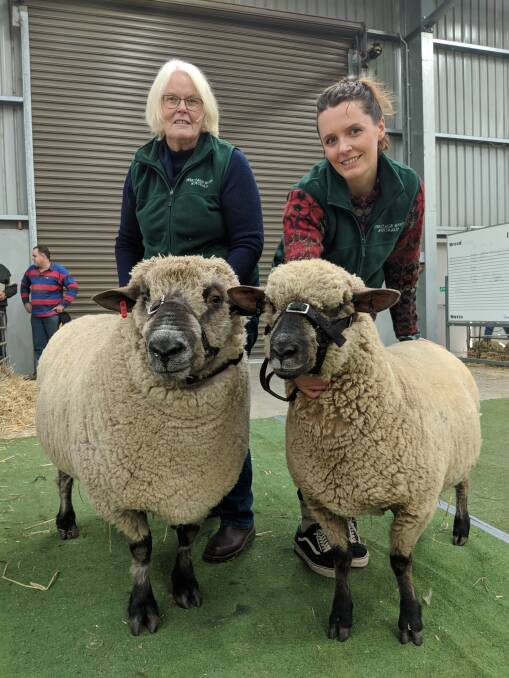 Margaret and Julia Chapman of Woodhall stud at Wedderburn with their grand champion Dorset Down ram and ewe. 