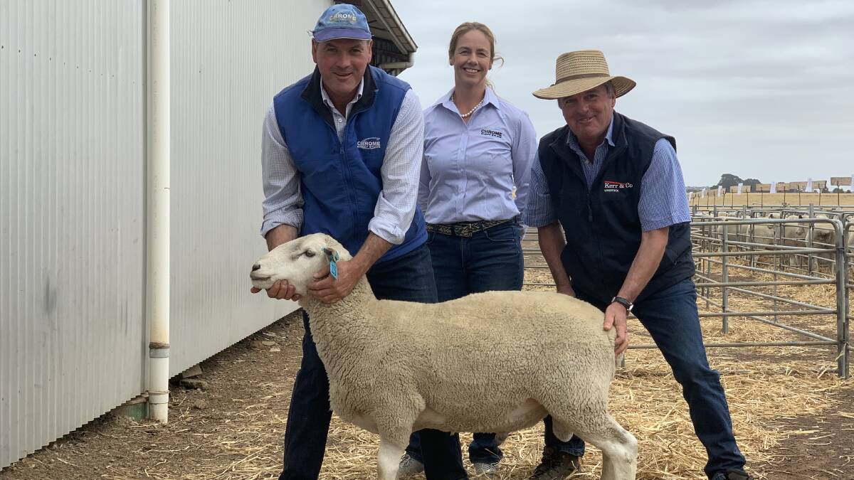 TOP PRICE: Matt and Tanya Tonissen, Chrome Genetics, with Kerr & Co agent Robert Claffey, Hamilton, and the top-priced ram, Lot 13, on its way to South Tahara Park, Wagga Wagga, NSW.