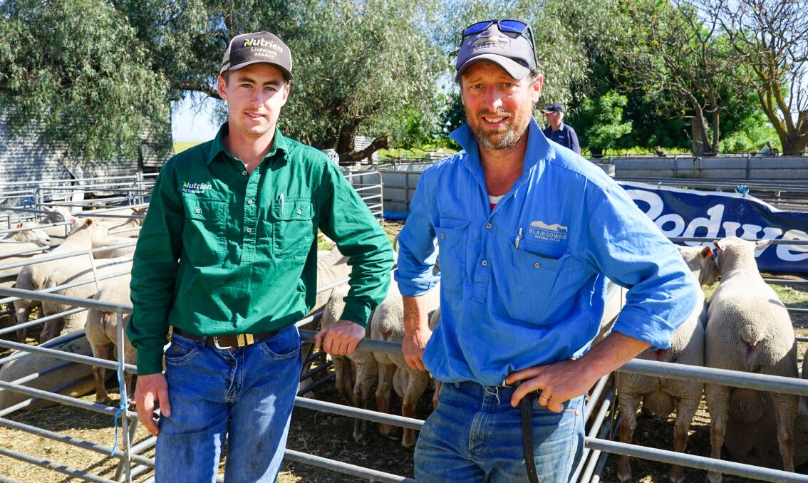 Volume buyers Nutrien livestock trainee Leroy Bell and commercial lamb producer Clayton Mackley, Pomonal, at the Vortex White Suffolk & Charollais ram sale. Picture by Rachel Simmonds