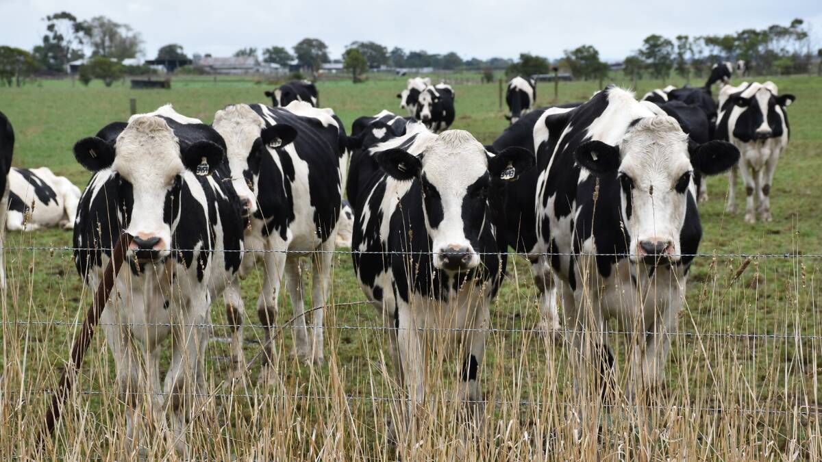 Global dairy trade up for first time since May