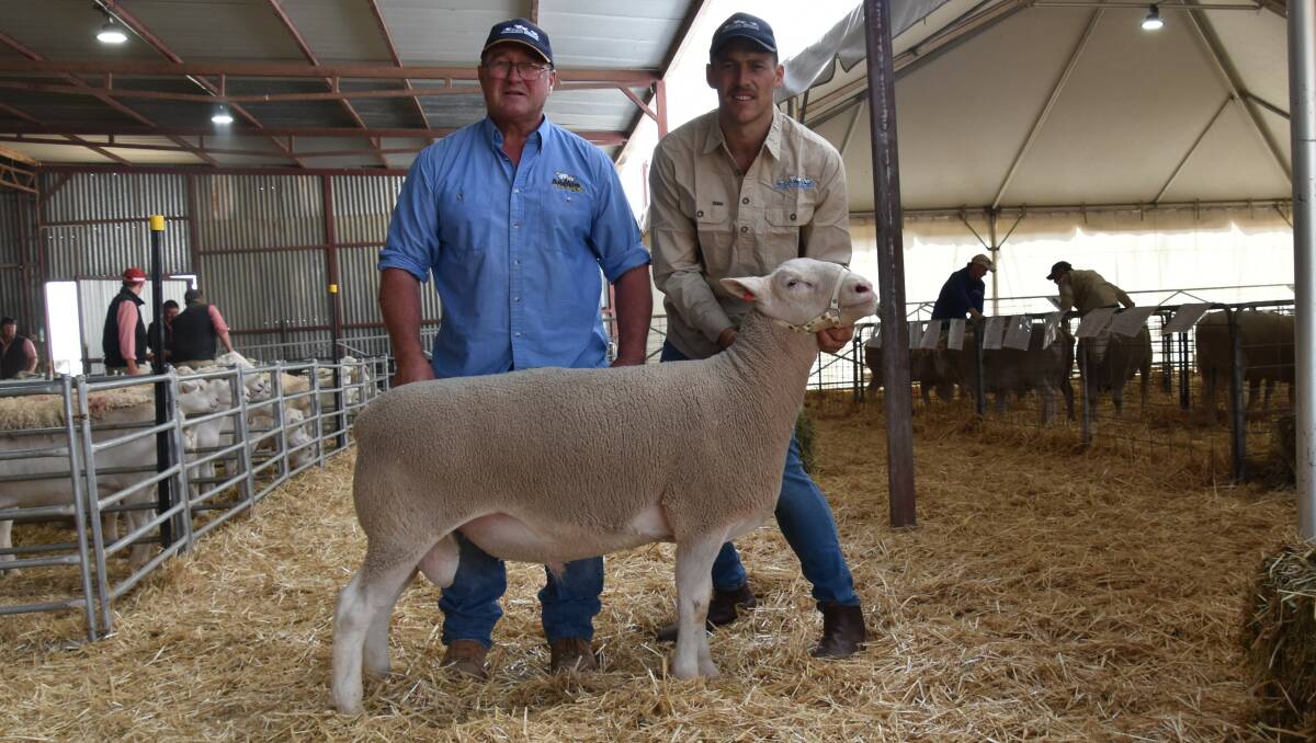 Top of the White Suffolks rams at $7000 held by Andrew and Joel Donnon, Anden stud, Willangie, which was bought by Banquet White Suffolk stud, Mortlake. Picture by Alastair Dowie