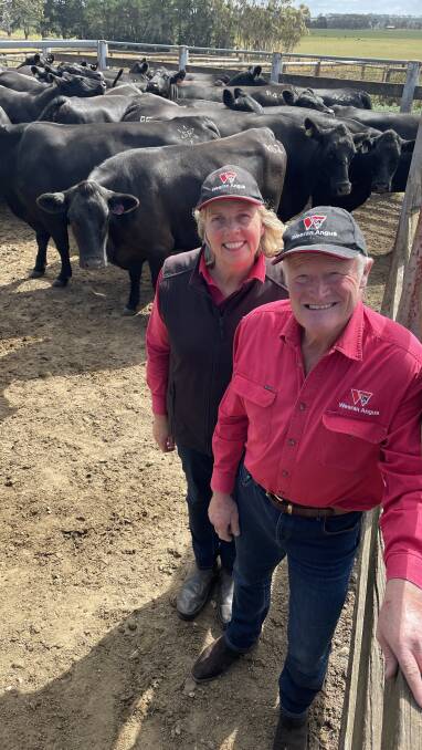 Weeran Angus stud principals Jo and Alec Moore, Byaduk, with some of their cattle. Pictures by Kylie Nicholls