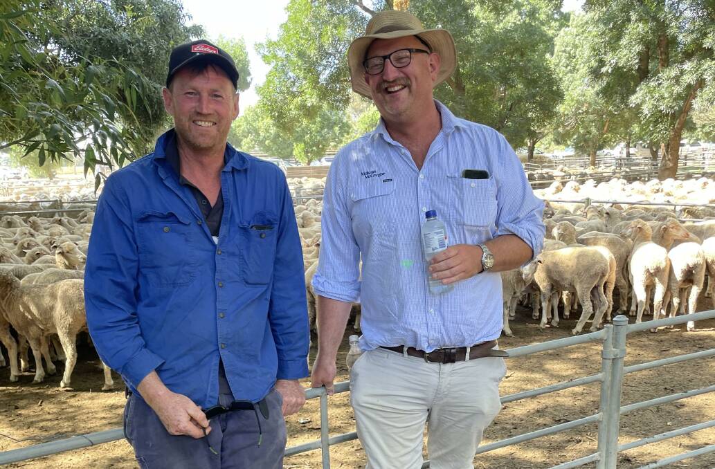 Nick Harrop, Muskerry, and Henry Bugge, Bendigo, took a look at the sheep at Deniliquin, NSW, late last month. Picture by Denis Howard
