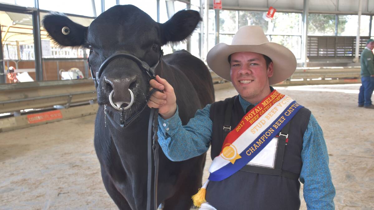 Clayton Ray, Narellan, NSW, took out champion beef handler at the Royal Melbourne Show.