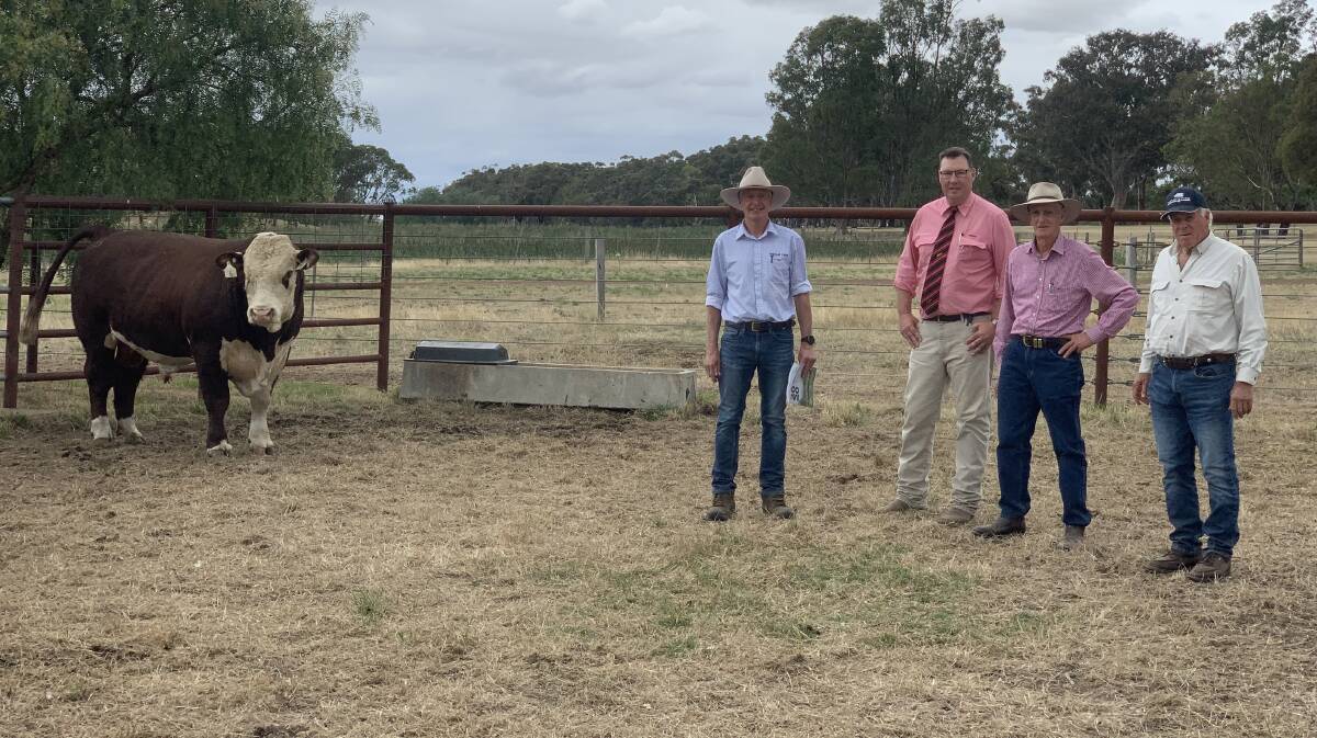 BIG BUY: Top-priced bull with Yarram Park principal Jeremy Upton, Ross Milne, Elders, buyer Barry Newcomen, Newcomen Herefords, and Yarram Park owner Antony Baillieu.