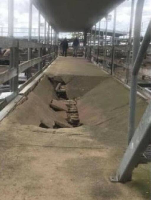 The collapsed section of the cement walkway after the October 21 incident during a sale. About 400 metres of walkways, and rooves, are going to be replaced at the saleyards.