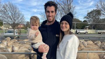 SHEEP SALE: Luke McSwain holding Chase with partner Ella Smith, Merbein South, at the fortnightly Ouyen sheep market last week.