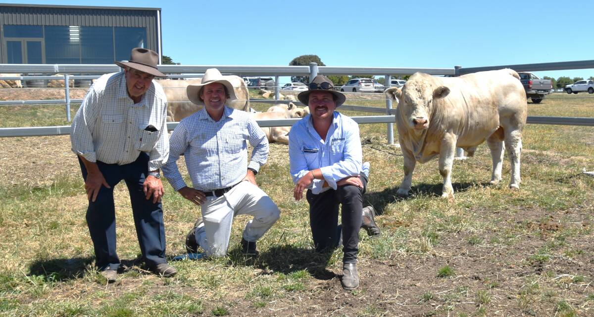 Terry Dove, Fargo Minda, Colac, with the bull he bought for $11,000 with Mount William Charolais stud principal Rob Abbott, and Charles Stewart Howard director Shelby Howard. Picture by Alastair Dowie