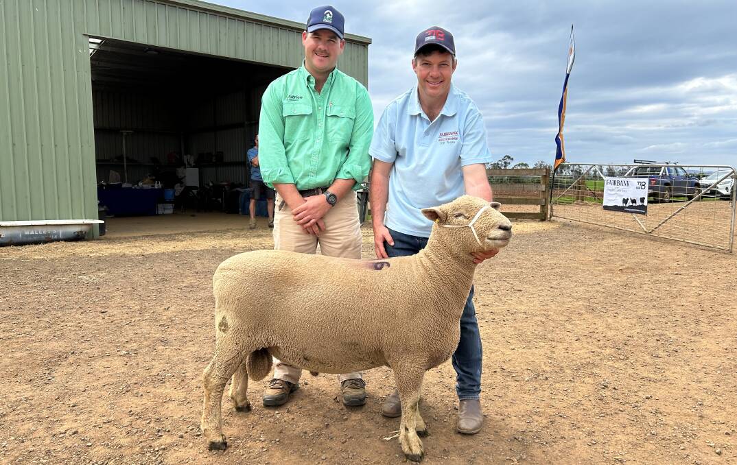 Nutrien Victorian stud stock agent Nick Farley, who purchased this ram on behalf of Banquet, Mortlake, with Fairbank stud principal Chris Badcock.