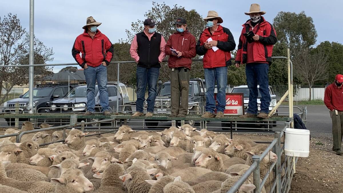 Elders auctioned new-season lambs at the Ouyen Livestock Exchange last week, where prices were $15-$30 a head cheaper.