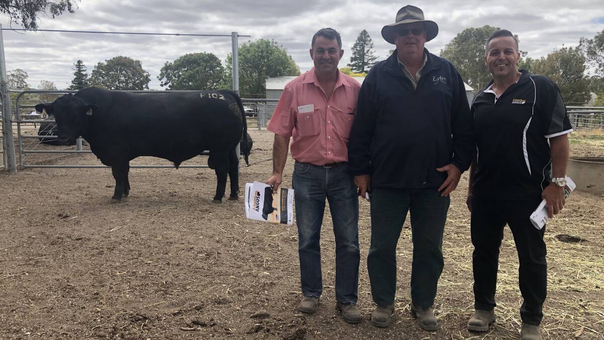 Elders agent Carlo Taranto, top-priced buyer Eyton on Yarra manager Murph Steer, Healesville, and Adameluca Angus stud principal Sam Trovatelllo, with the top-priced bull.