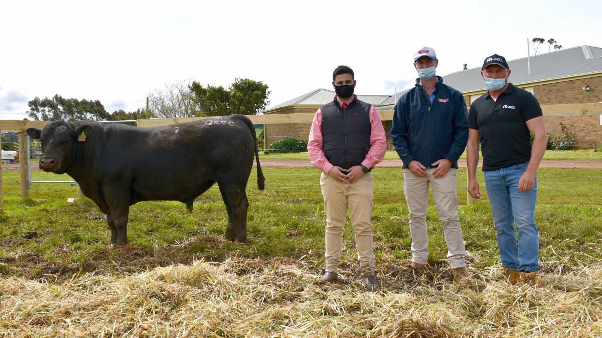 The top-priced bull, Lot 7, Absolute Qual Q490, with Ryan Bajada, Elders, David Setches, Alex Scott & Staff, and Absolute Angus stud principal Anthony Pisa.
