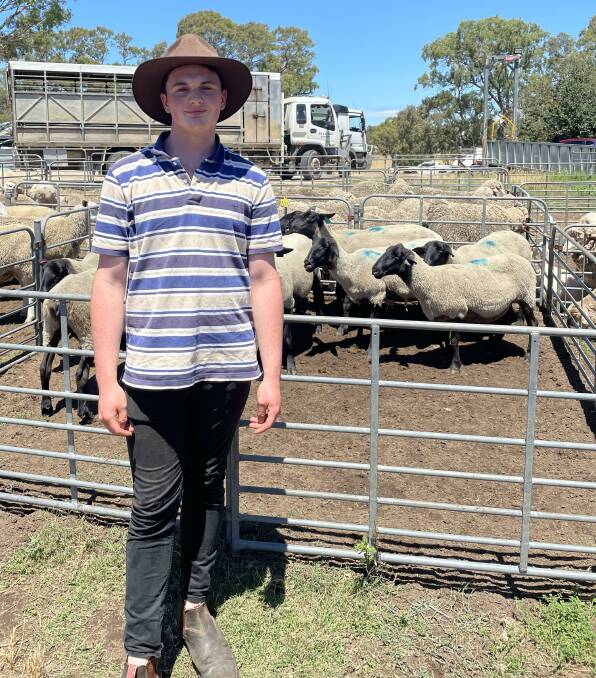 IN DEMAND: Archie Mackay, Woodside, SA, was buying sheep at Mount Pleasant, SA, recently.