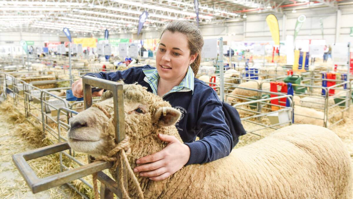 LIVE: All the action from Australian Sheep & Wool Show Day One