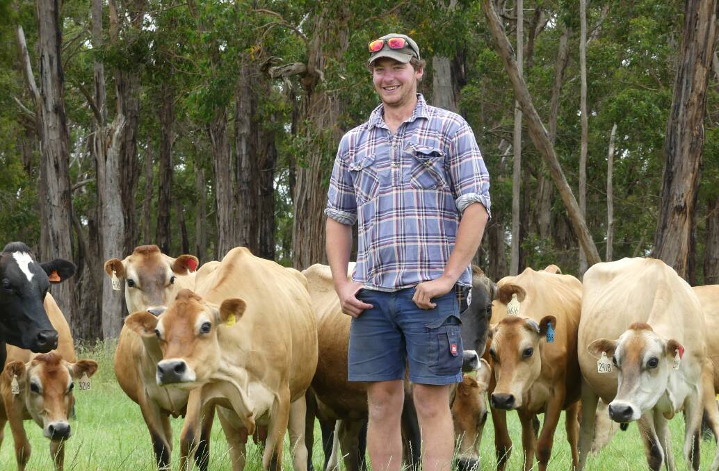 UP AND COMER: Sixth-generation Nerrena dairy farmer Josh Greaves, with his Jersey and Jersey-cross herd, says more needs to be done to support young people in the industry.