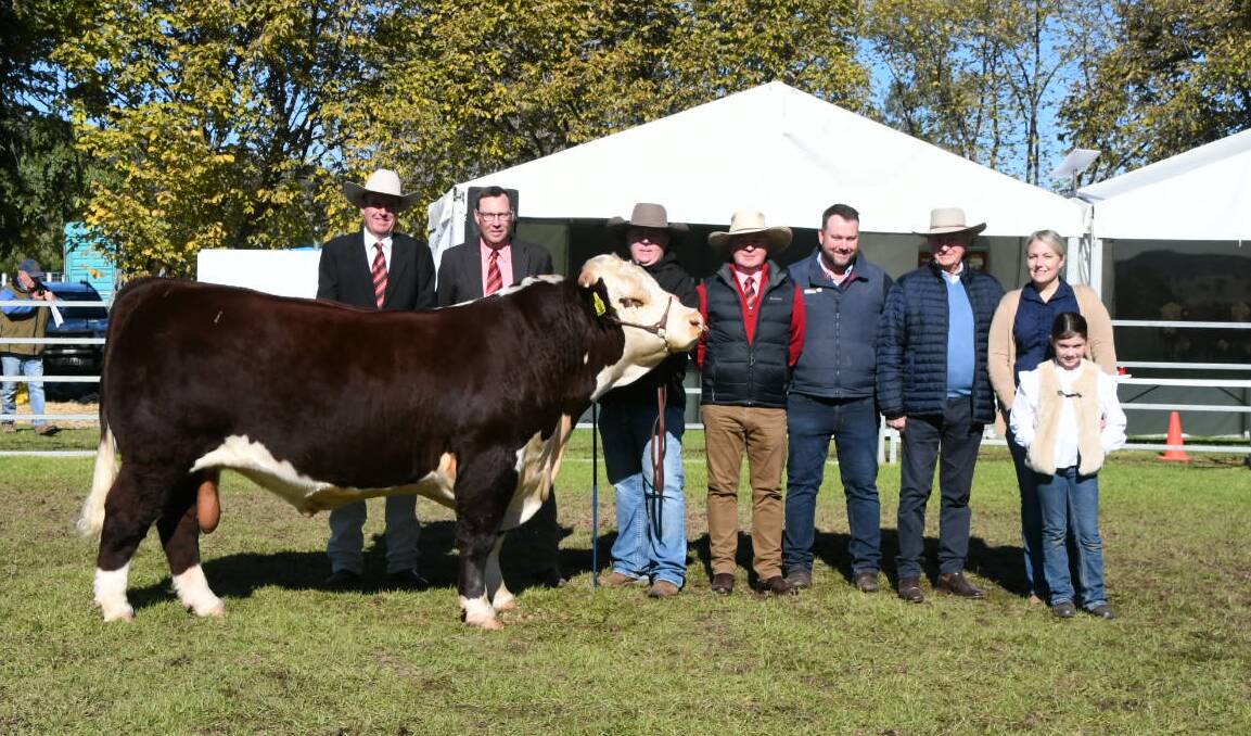 The $75,000 bull with Paul Dooley and Ross Milne, Elders, handler Tom Wilding-Davis, Brisbane, Andrew Meara, Elders, Brisbane, Ben Davies, vendor Wild Bear Hereford stud, Meadows, SA, buyer Ian Galloway, Cootharaba Hereford stud, Roma, Qld, and Katelin and Elle, 9, Davies, Wild Bear. Picture by Jessica Parker