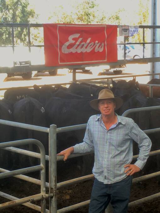Shane Creed, ‘The Grange’, Murrindindi, sold 19 2016-drop heifers to a top of $1290, and 11 2015-drop heifers to $1040. Photo by Ryan Sargeant.