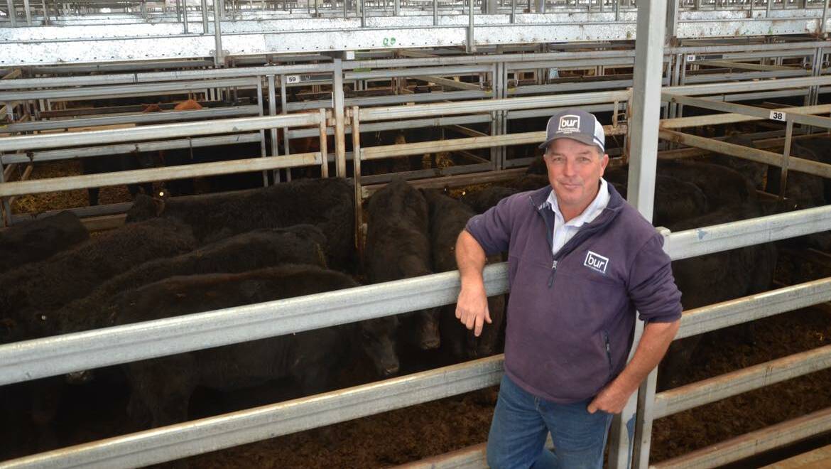 NORTHERN SALE: Ross Hodgkin, Mitta Mitta, sold three pens of Angus steers at Wodonga last week, with the tops, 13 weighing 349kg, selling for $1750 or 501c/kg. 