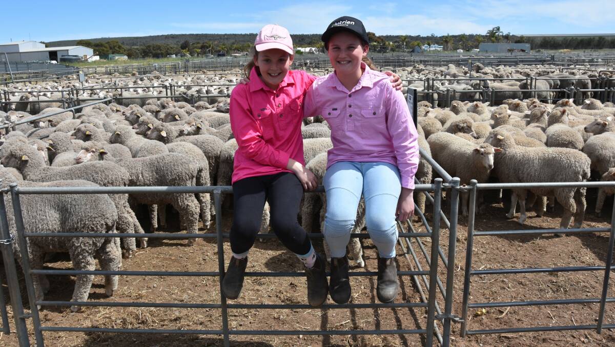 HOLIDAY HIJINKS: Lily, 10, and Ella Walker, 12, Strathalbyn, SA, joined their Nutrien agent dad Bradley in attending the Murray Bridge, SA, prime lamb sale on Monday.