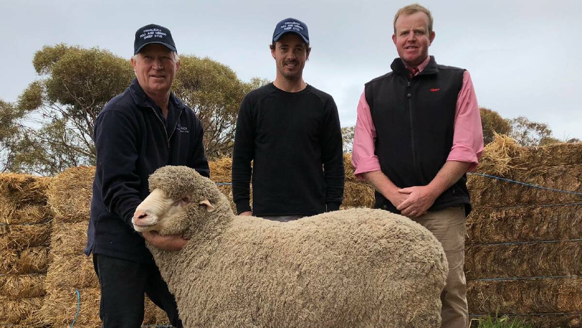 Tamaleuca stud principal Kevin Crook, with top-priced buyer Locky Gleeson, ‘Warrawee Pastoral Company’, Kyalite, NSW, and Elders auctioneer Geoff Sutton.