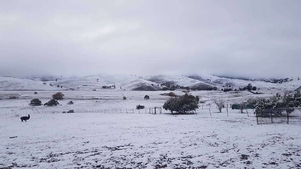 About 20-30 centimetres of snow fell on the Alpine region over the weekend. This photo was taken at Omeo Valley.