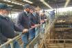 Reduced quality Pakenham yarding gives restockers a chance to buy