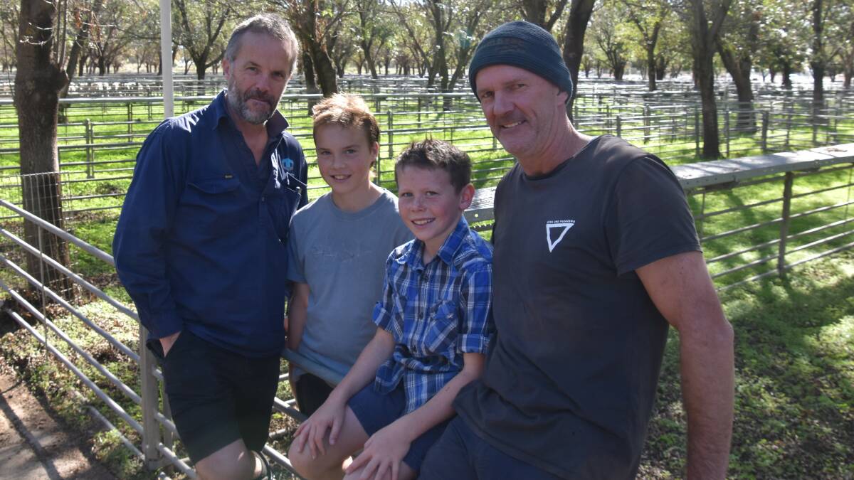 Tim and Abe Ronan, and Erni and Andrew Chessman (middle), Ballarat, were on the look out for sheep at Deniliquin, NSW. Picture by Alastair Dowie