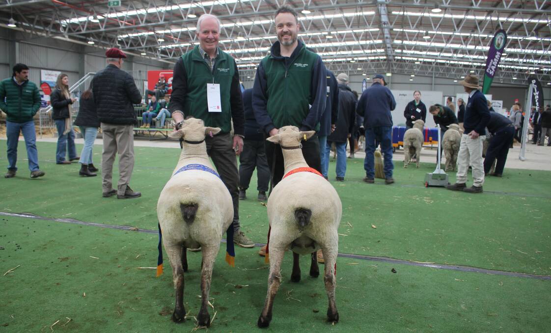 Michael and Colin Chapman, Woodhall, Wedderburn, took out both grand champion ewe and ram in the Dorset Downs competition at the 2023 Australian Sheep & Wool Show. Picture by Philippe Perez