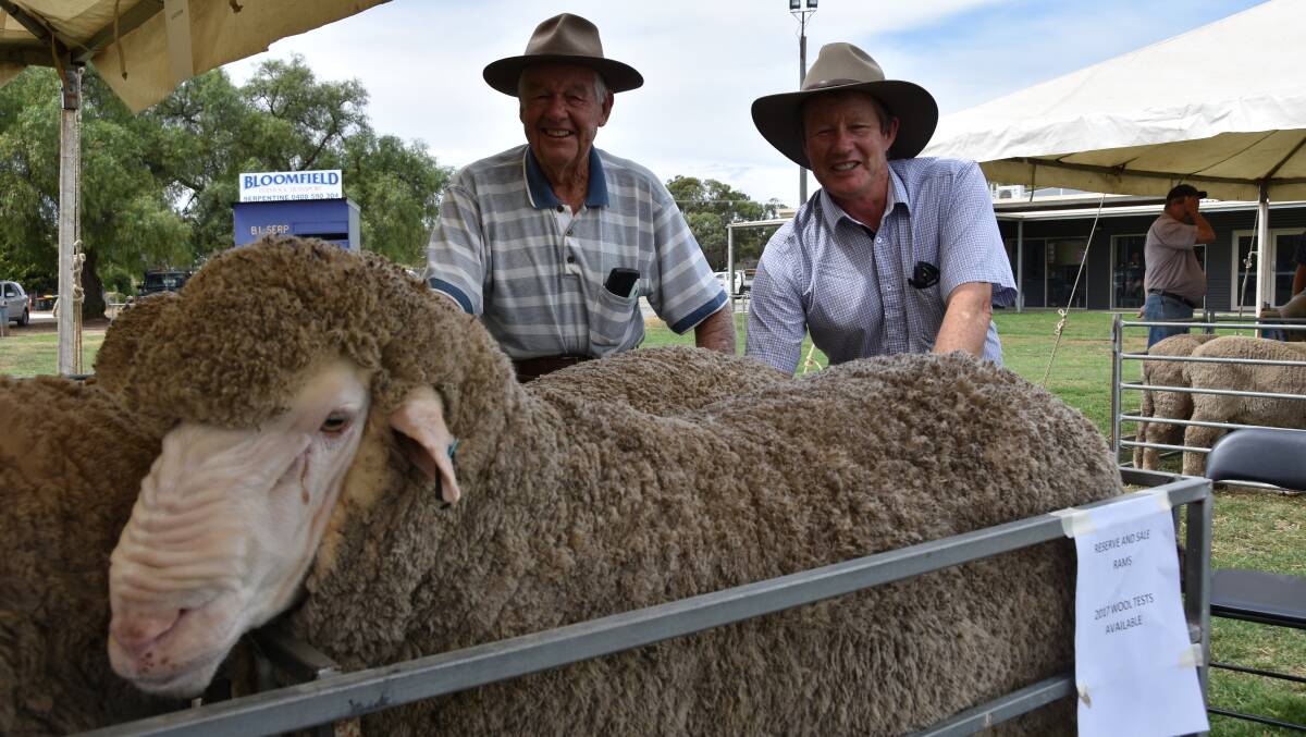 The Eastern Market Indicator closed at 1779 cents per kilogram, after an overall increase of 27c/kg, last week, after falling for six consecutive trading days. Pictured are Rob and Norm Weir, Kerrilyn Merino stud, Dunluce.