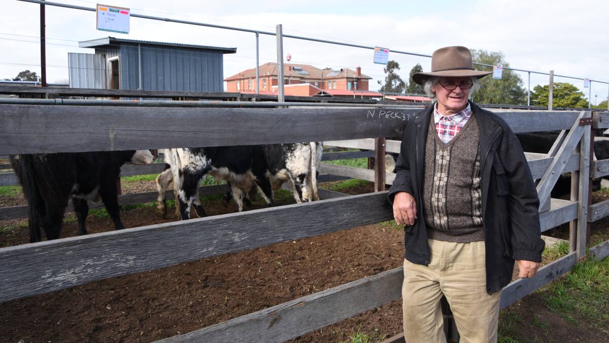 VERY HAPPY: Neville Peck, Sale, whose three Speckle Park steers were bought by Peter Kelly at Heyfield $890 a head.