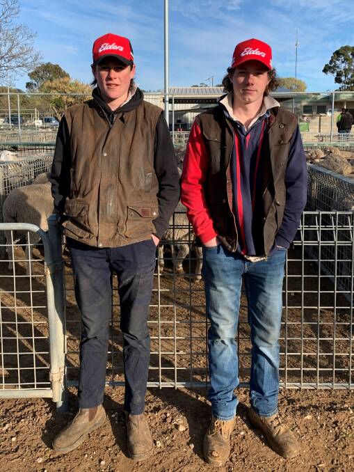 OUYEN PRESENCE: Jack OShannessy and Ben Nihill, Elders, were at Ouyen's fortnightly sheep and lamb sale last week.