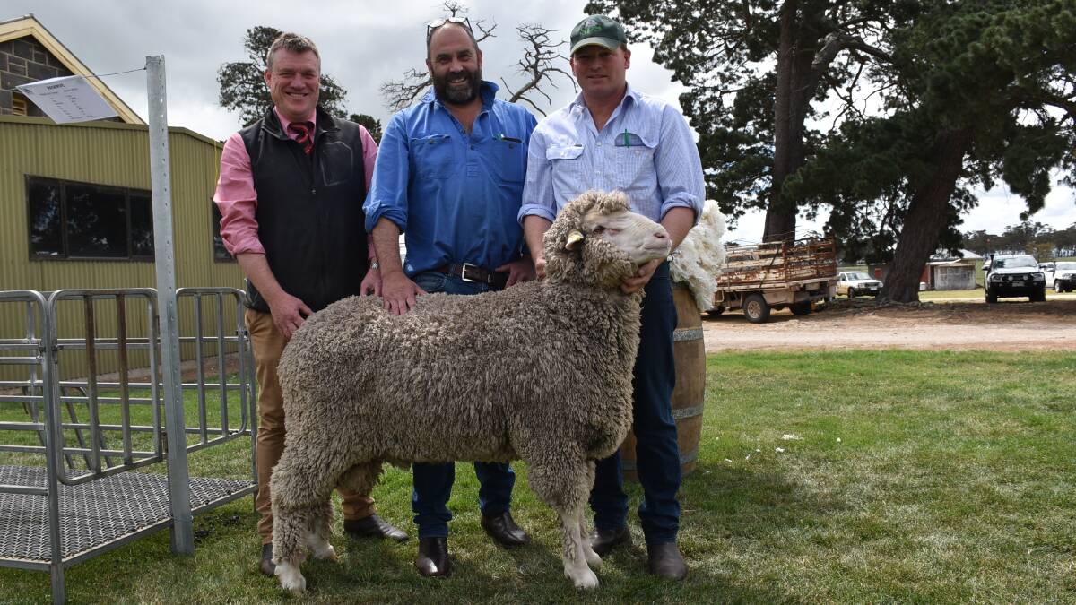 Andrew Howells, Elders, Rob Lawrance, ‘Banool’, Cavendish, and Stud Park South stud principal Pat Millear, Willaura, with the top-priced ram of the sale.