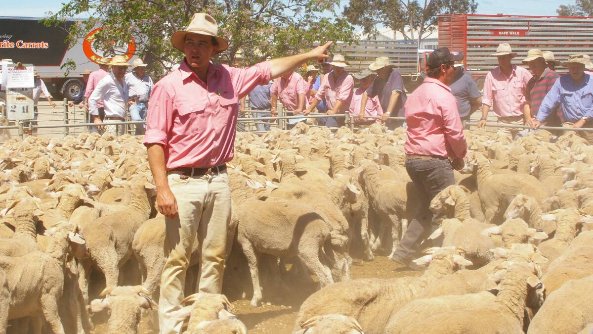 The Elders selling team in action at Swan Hill at a sale in 2016.
