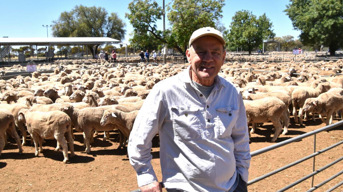 Michael Munro, Mia Mia, was looking for sheep at the Wycheproof sale on Friday. Picture by Alastair Dowie